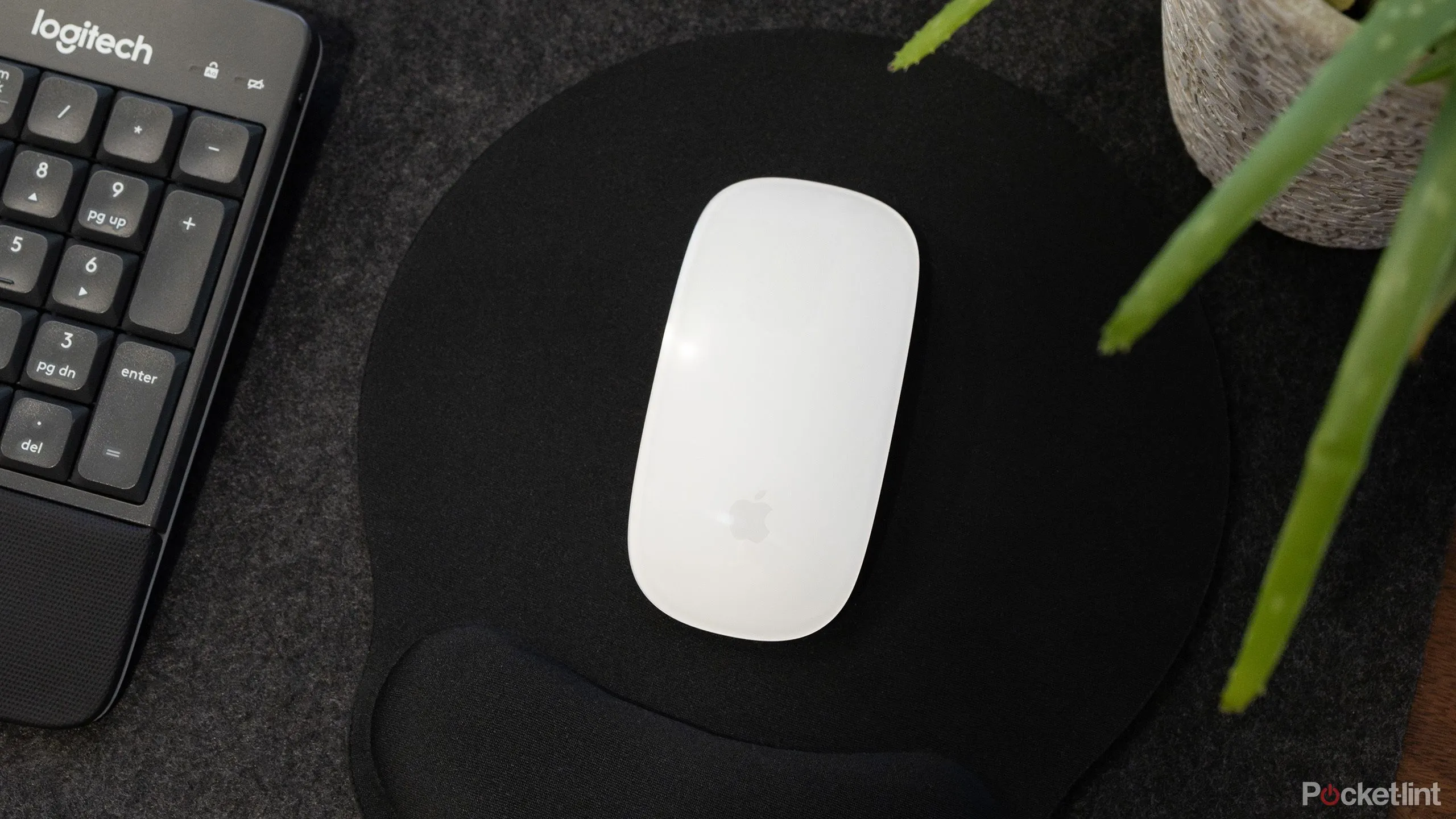 Chuột Magic Mouse của Apple, phụ kiện không dây phổ biến cho Mac và iPad.