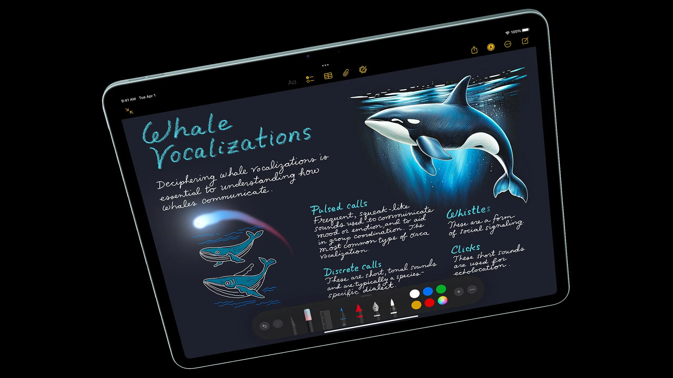 Người dùng sử dụng ứng dụng Notes trên iPad Air, minh họa giao diện ứng dụng iPad.