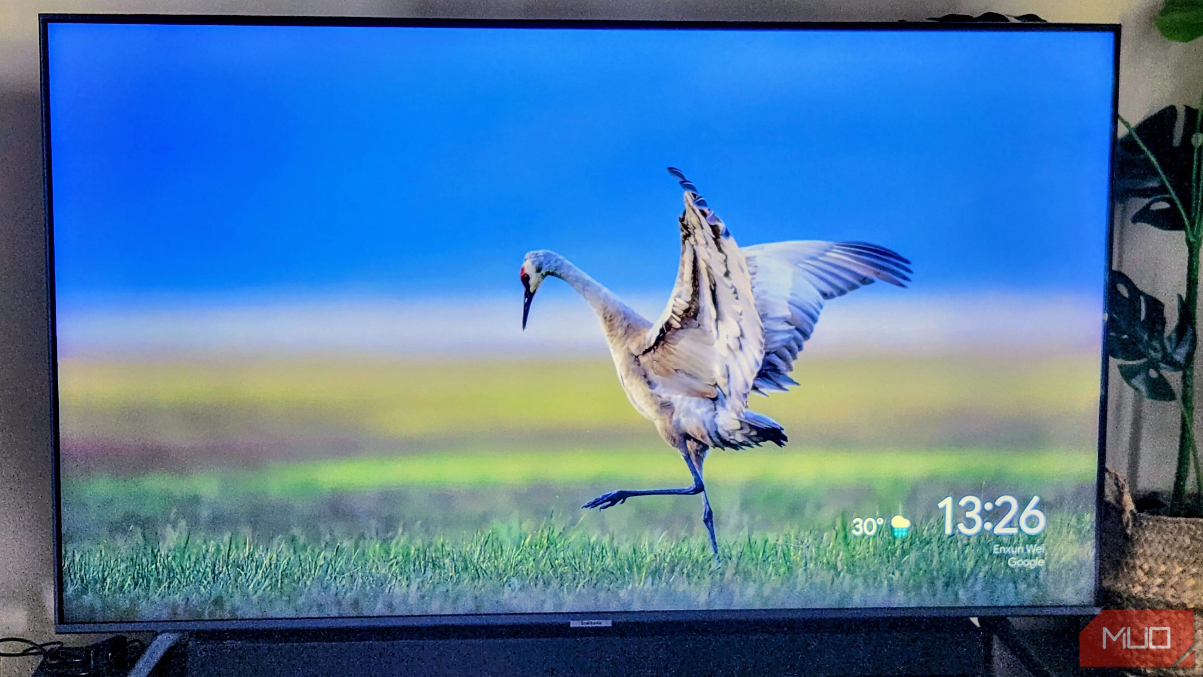 Giao diện Chromecast hiển thị trên màn hình TV, thể hiện sự tích hợp với hệ sinh thái Google.
