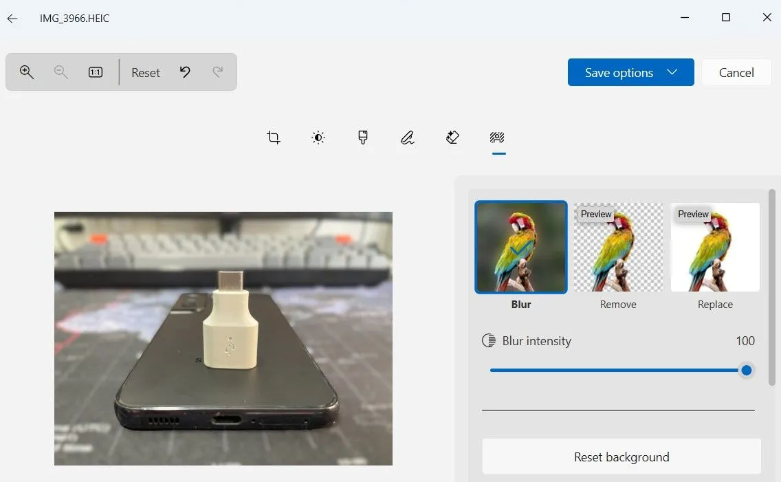 Giao diện tính năng xóa nền tự động trong ứng dụng Photos của Windows 11, cho phép làm mờ, xóa hoặc thay thế phông nền ảnh