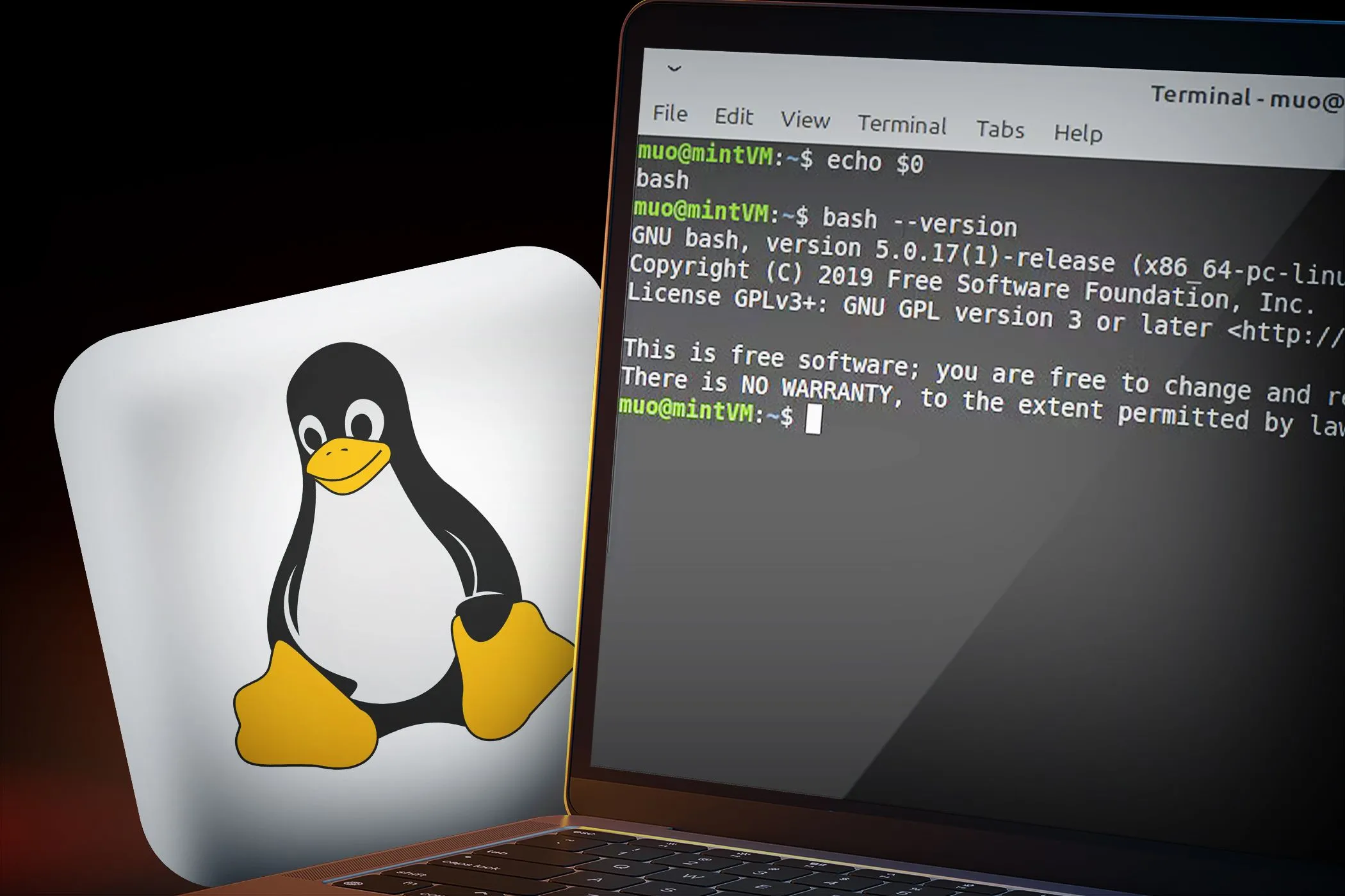 Hình ảnh minh họa giao diện dòng lệnh trên Linux cùng logo Linux, biểu trưng cho tính bảo mật và mã nguồn mở.
