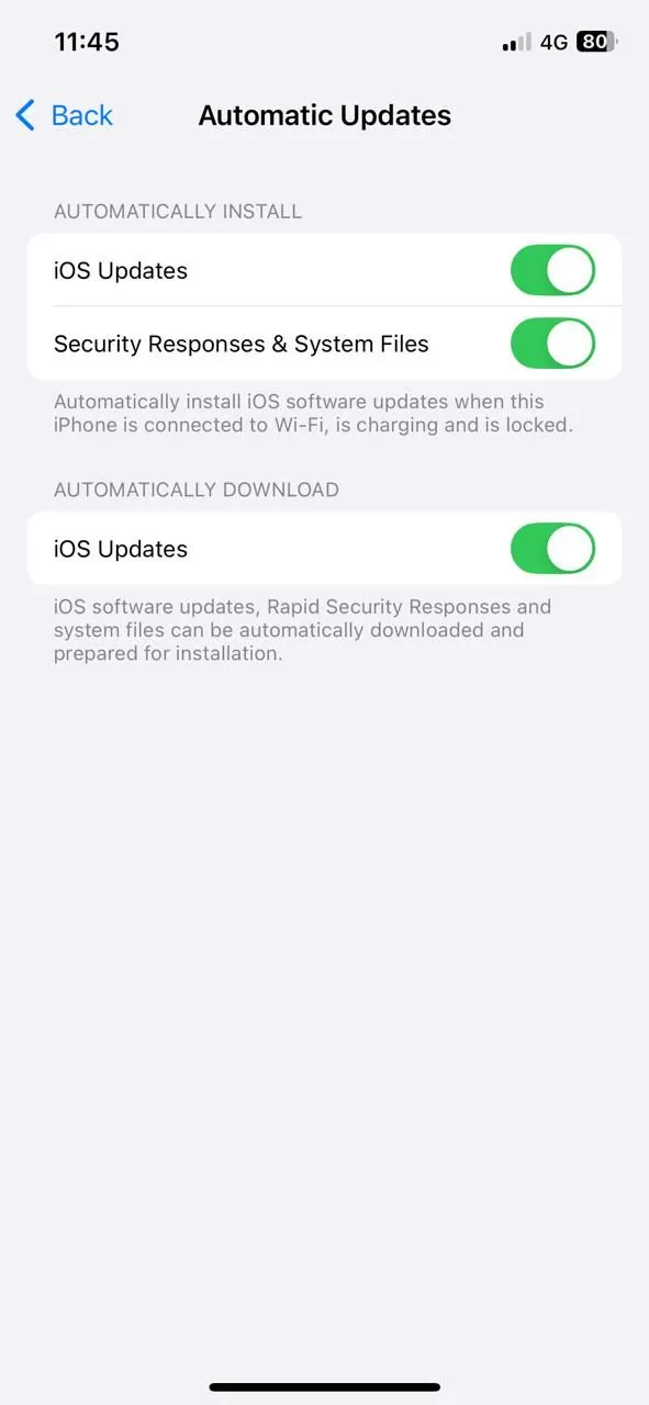 Màn hình cài đặt Cập nhật phần mềm trên iPhone, hiển thị tùy chọn Tự động cập nhật