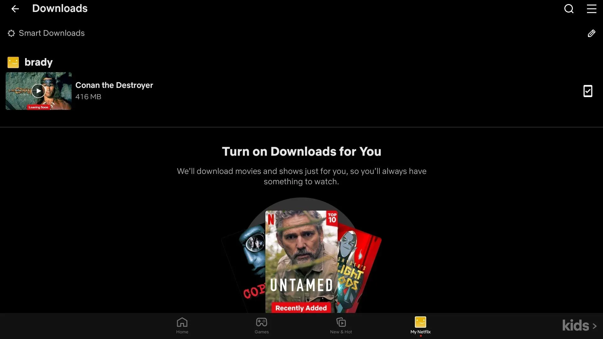 Màn hình danh sách nội dung đã tải xuống trên ứng dụng Netflix, minh họa tính năng xem ngoại tuyến tiện lợi.