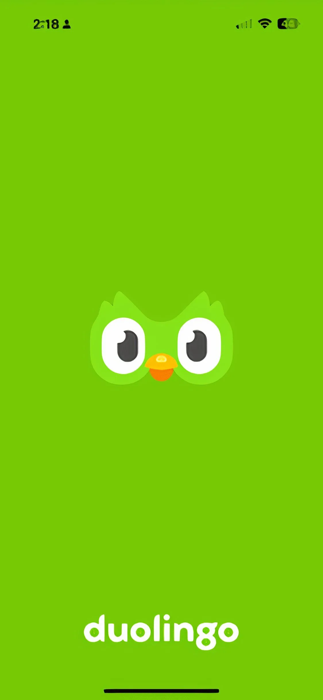 Màn hình khởi động của ứng dụng học tiếng Duolingo với logo chim cú xanh đặc trưng