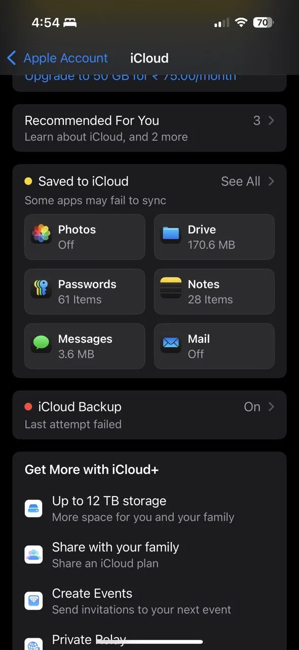 Phần Dữ liệu ứng dụng được lưu trữ trên iCloud cho phép quản lý dung lượng từng ứng dụng