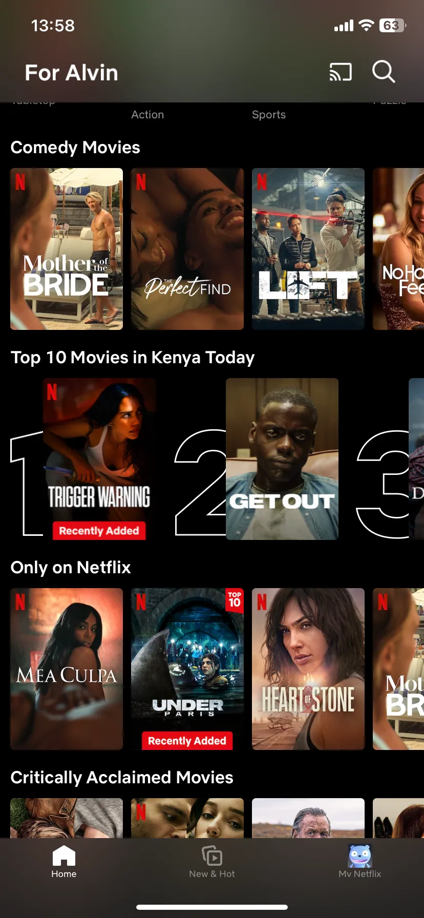Trang chủ Netflix trên thiết bị iOS hiển thị các bộ phim và chương trình truyền hình