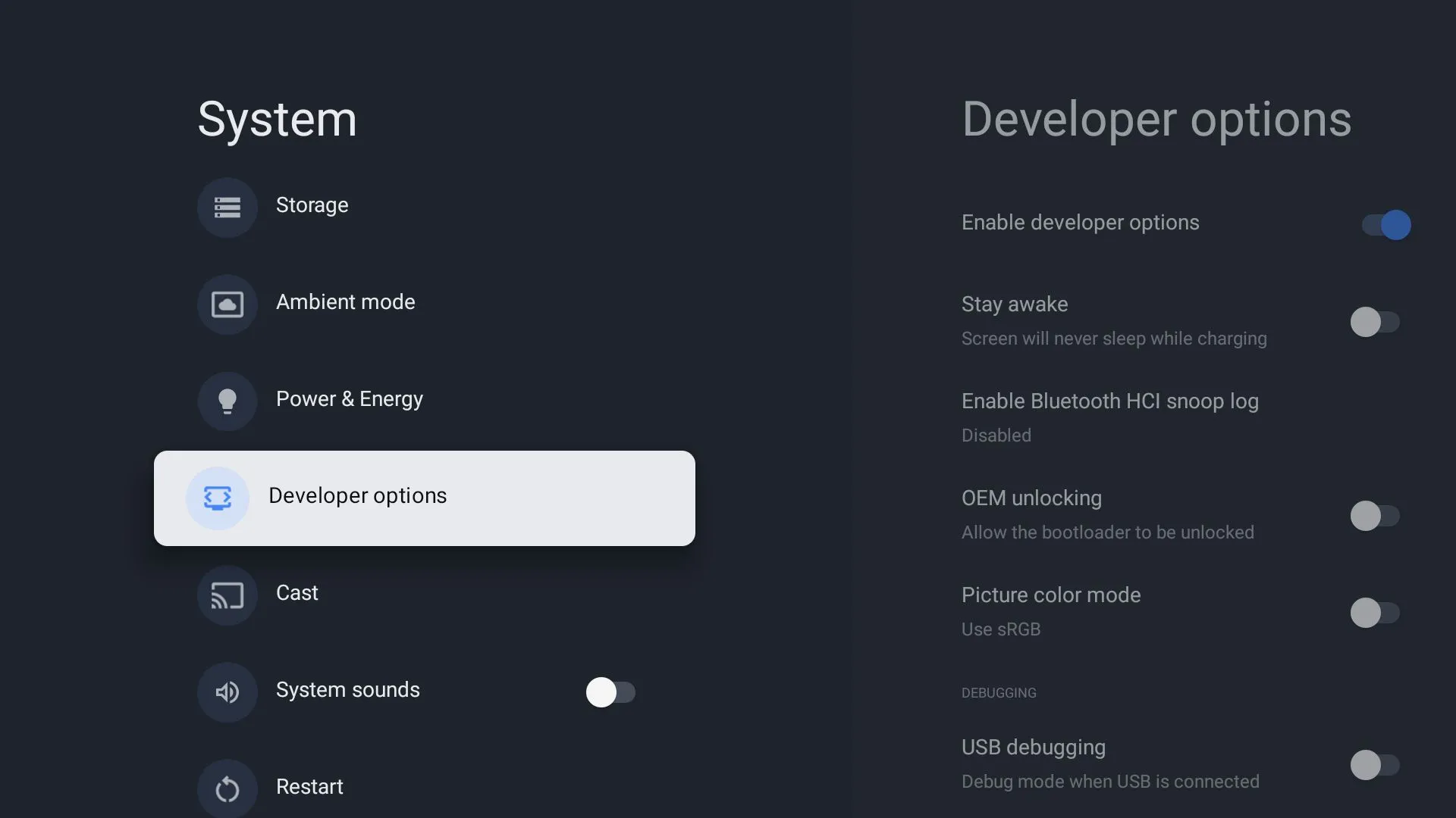 Tùy chọn nhà phát triển (Developer Options) xuất hiện trong cài đặt Hệ thống Google TV.